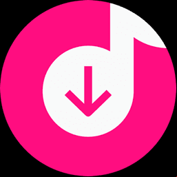 4K Tokkit Pro 25.1.0