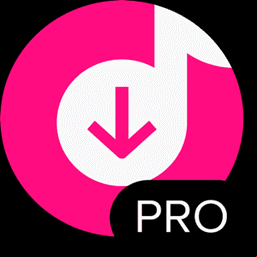 4K Tokkit Pro 25.1.0