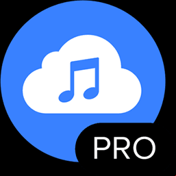 4K YouTube to MP3 Pro 25.1.1