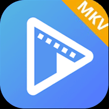 AVAide MKV Converter 1.0.16