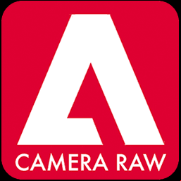 Adobe Camera Raw 17.3.1