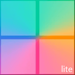 Windows 11 Pro Lite