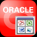 Withdata OraLobEditor 4.6 Release 1 Build 200630